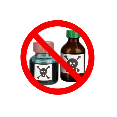 Derattizzazione Ecologica